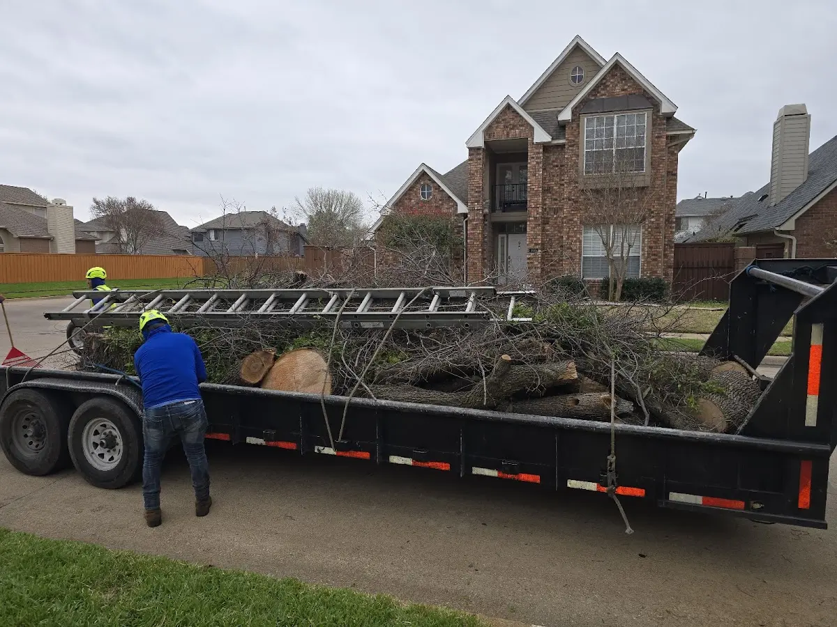 Expert Tree Pest Control with proper safety equipment in Luverne